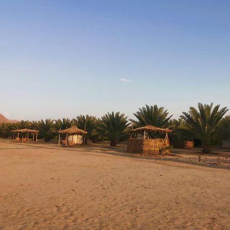 Almazham Camp Resort Al-Ula Zewnętrze zdjęcie