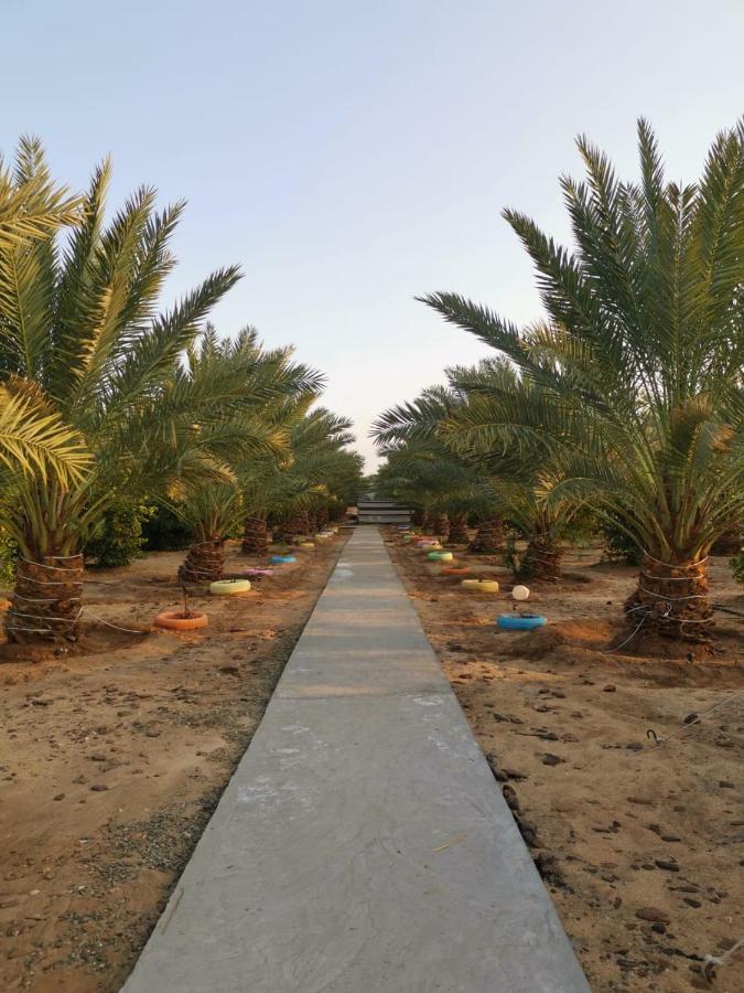 Almazham Camp Resort Al-Ula Zewnętrze zdjęcie