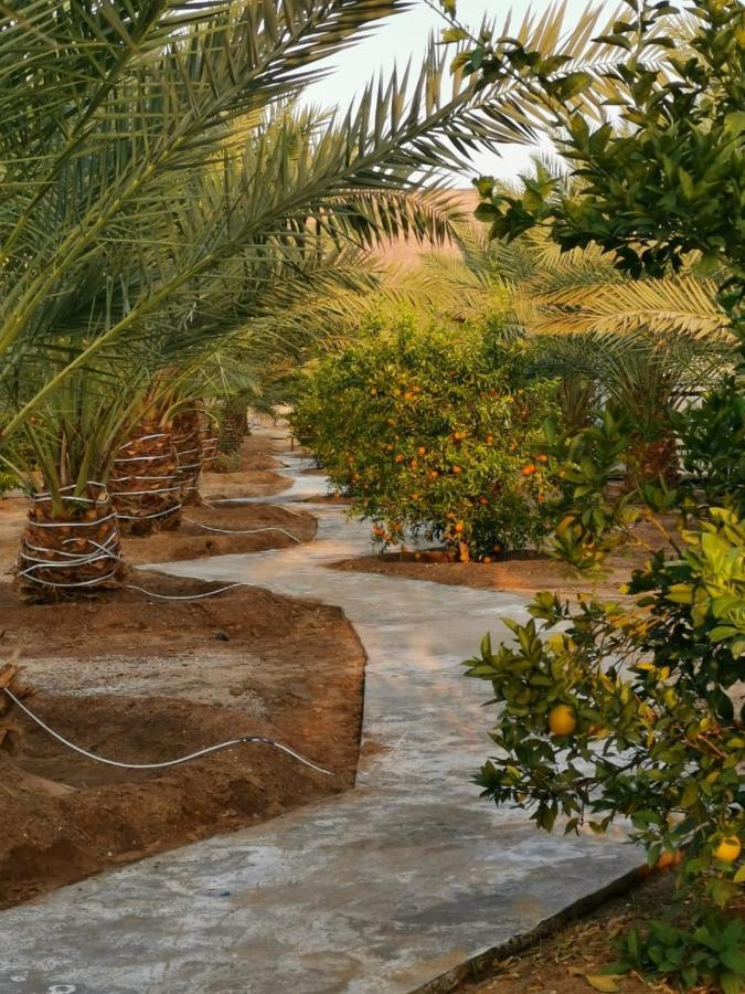 Almazham Camp Resort Al-Ula Zewnętrze zdjęcie