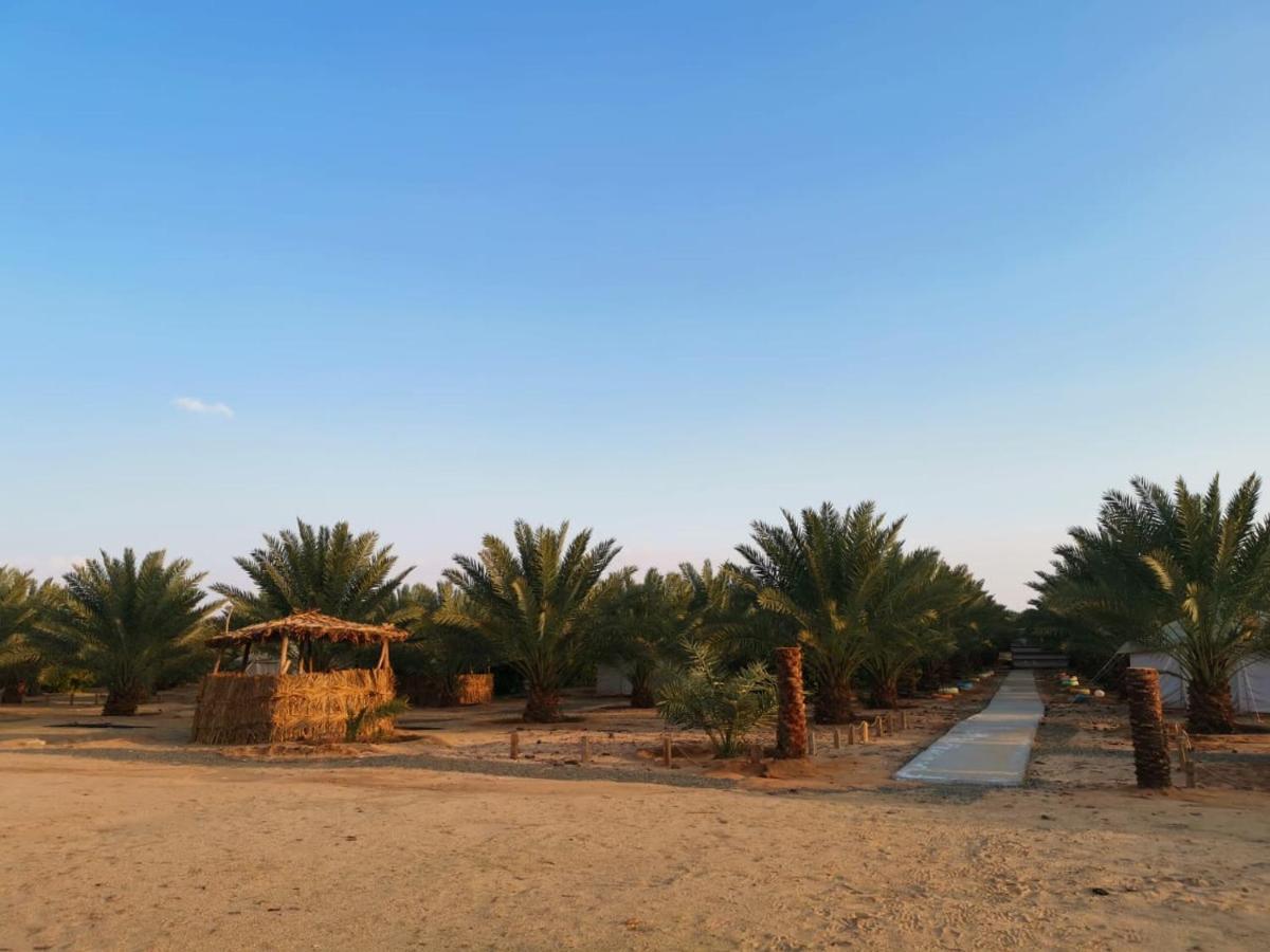 Almazham Camp Resort Al-Ula Zewnętrze zdjęcie